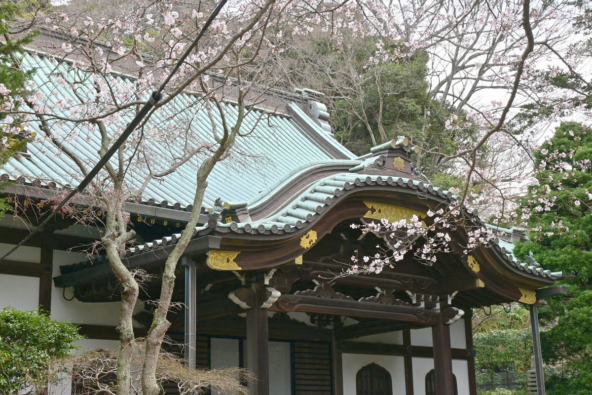 妙本寺：本堂