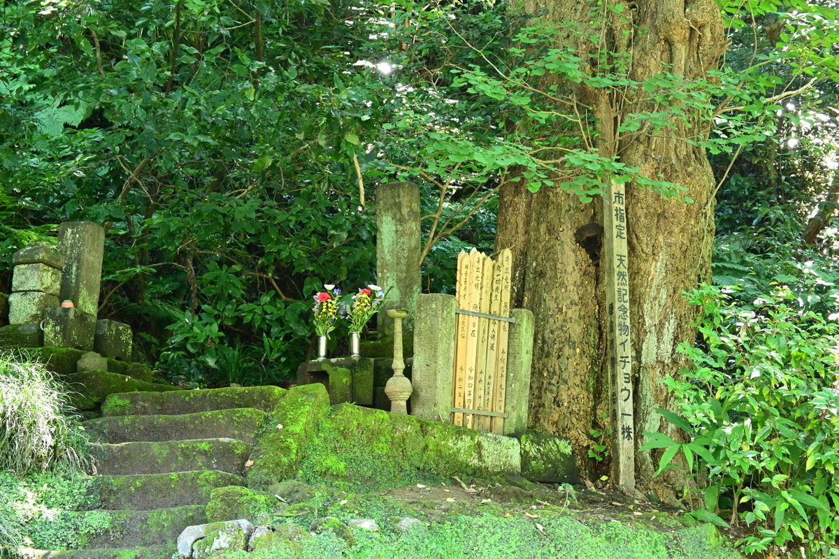 妙本寺：若狭局の墓