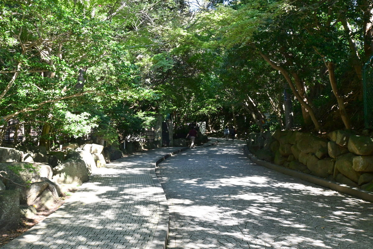 鎌倉文学館に続く道