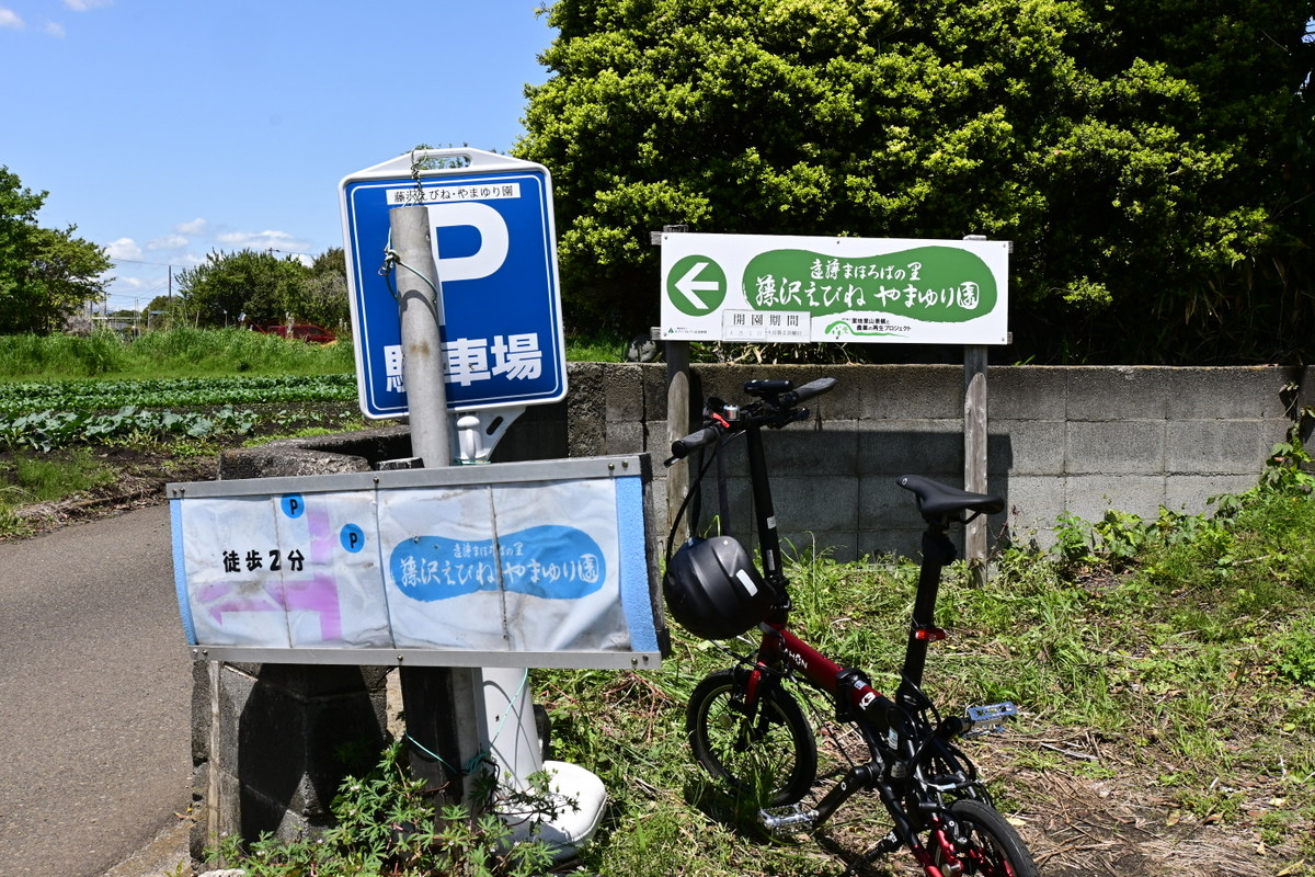 藤沢えびね・やまゆり園：駐車場その1