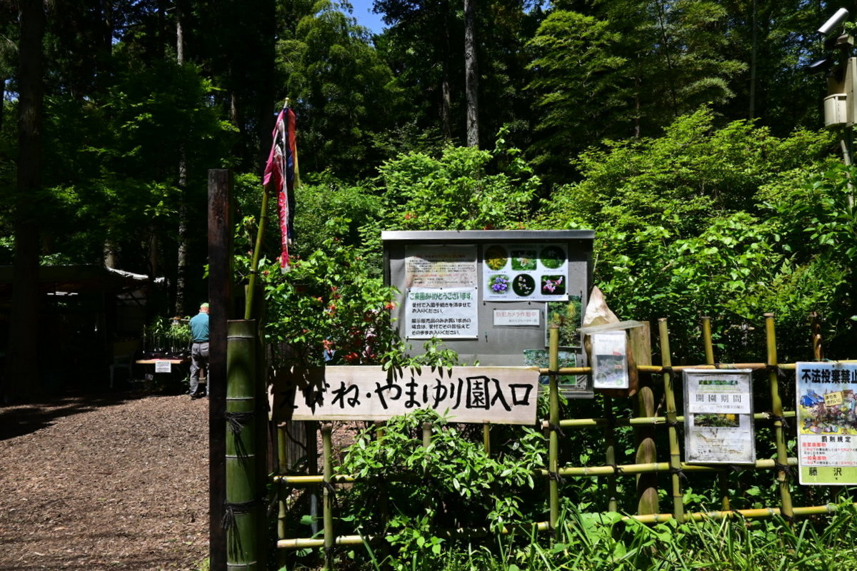 藤沢えびね・やまゆり園：入り口