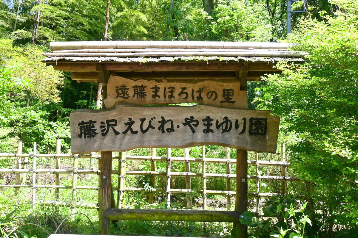 藤沢えびね・やまゆり園：看板