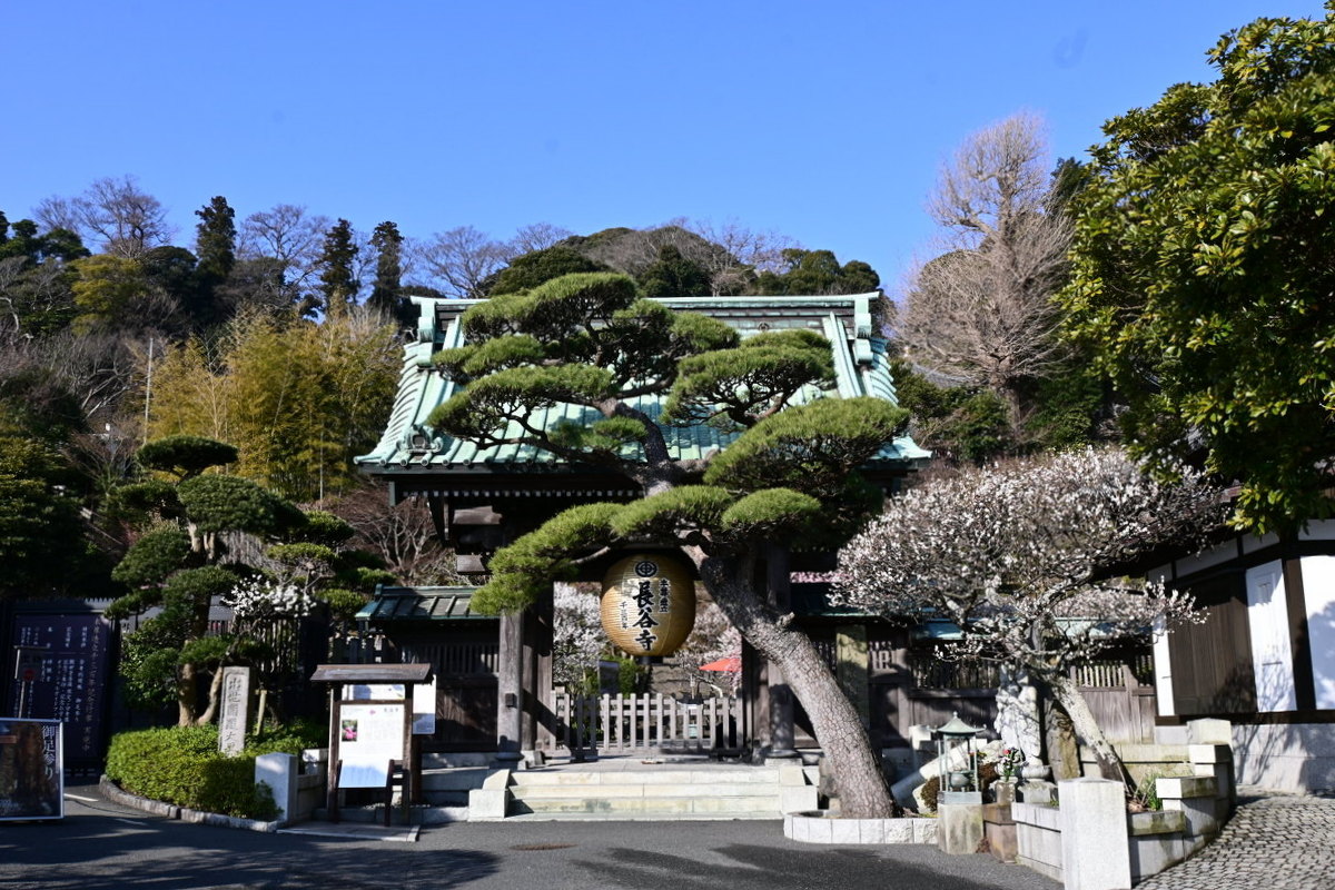 長谷寺：山門（本尊造立1300年記念提灯）