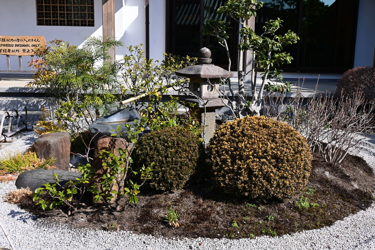 長谷寺：書院前の庭園