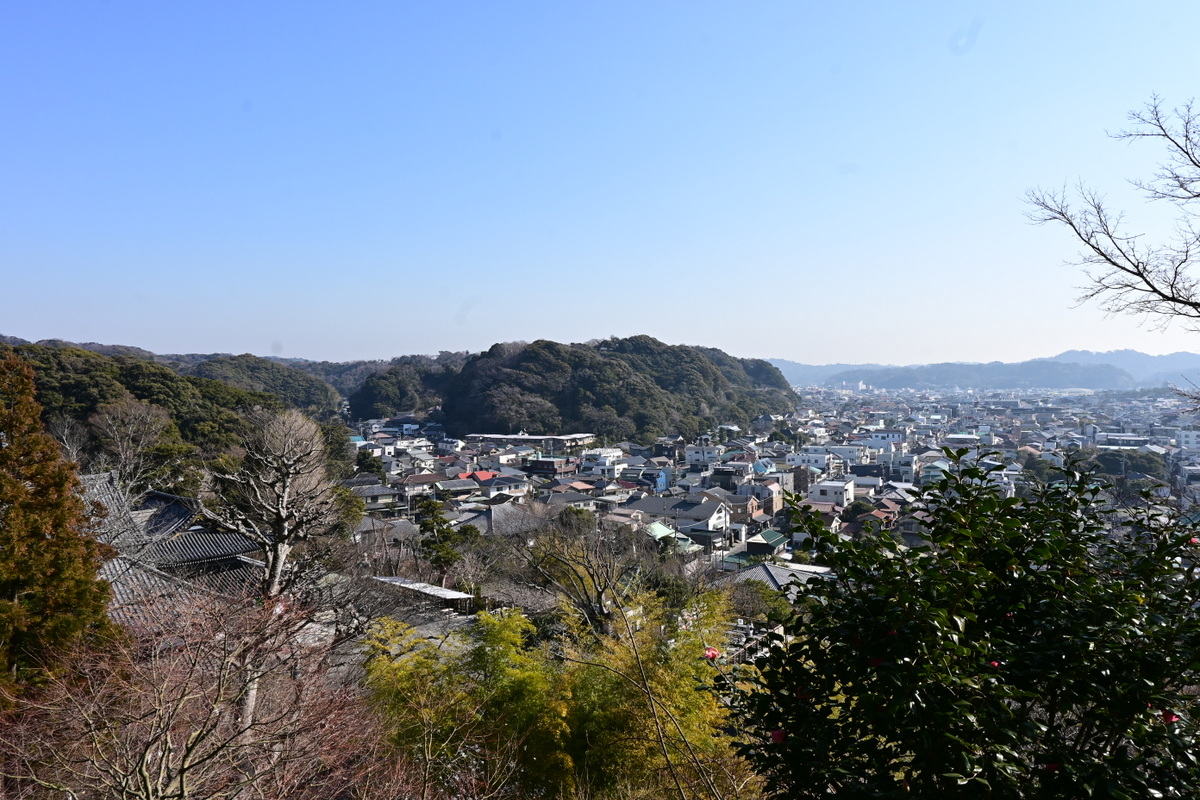 長谷寺：眺望散策路からの眺め