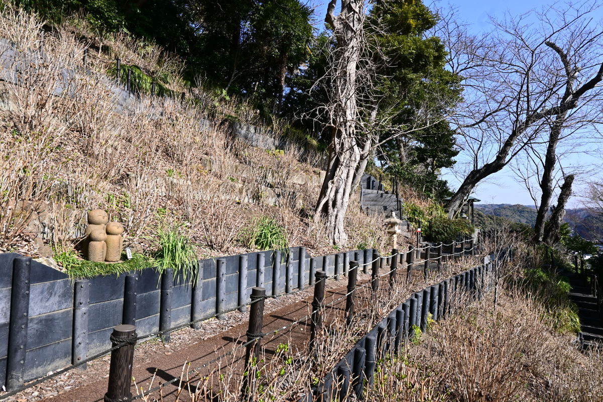 長谷寺：眺望散策路