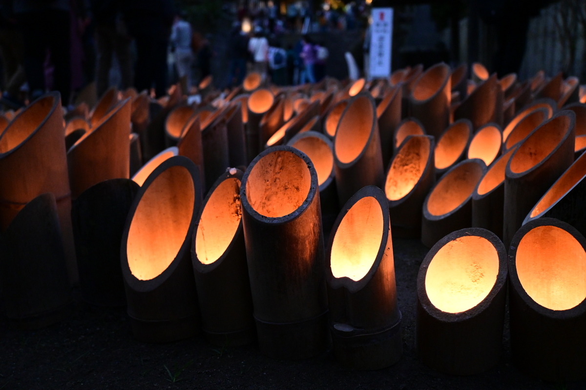 闇夜に浮かぶ竹灯籠