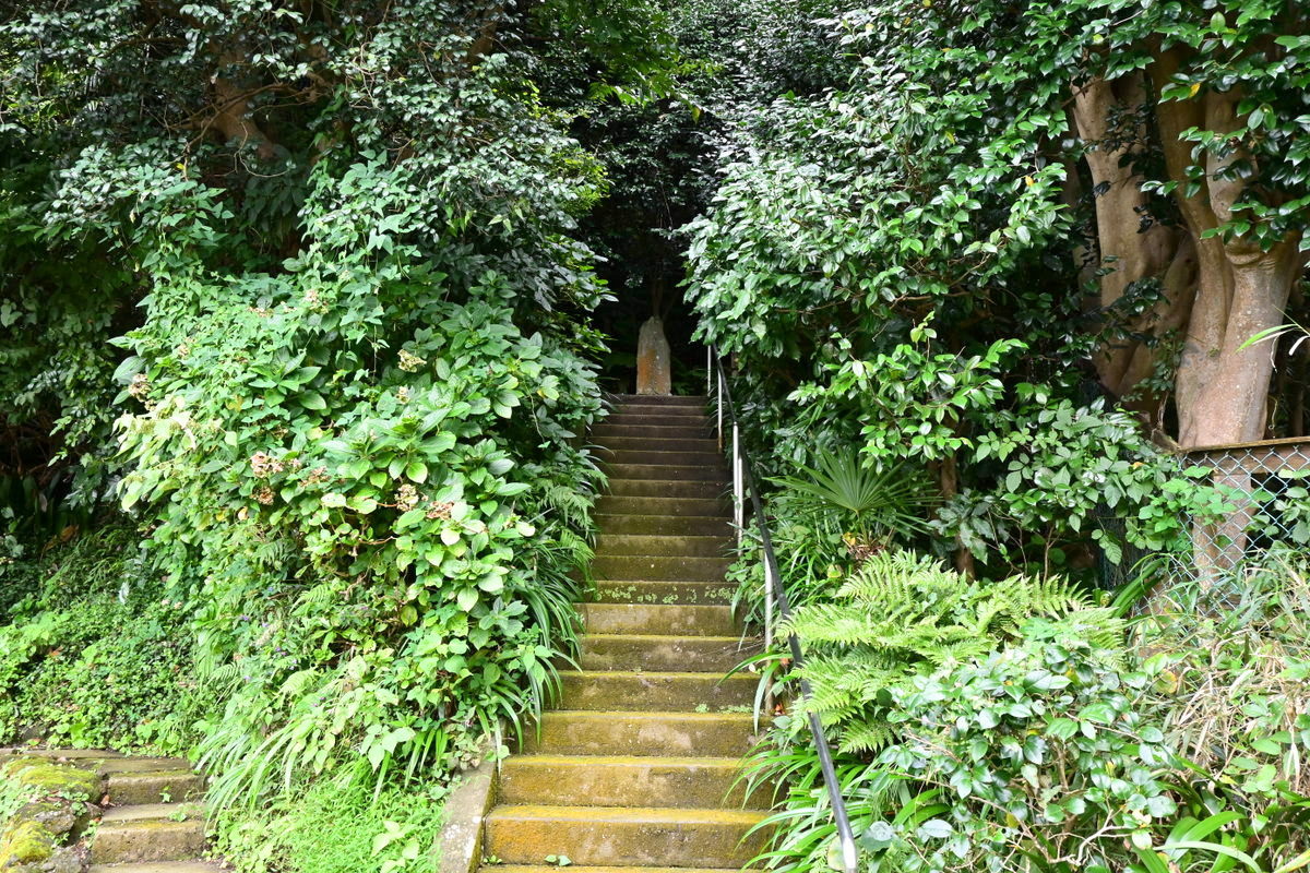 實相寺：日昭の墓に続く階段