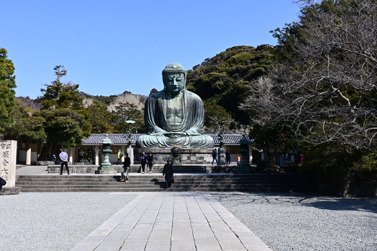 高徳院：大仏遠景