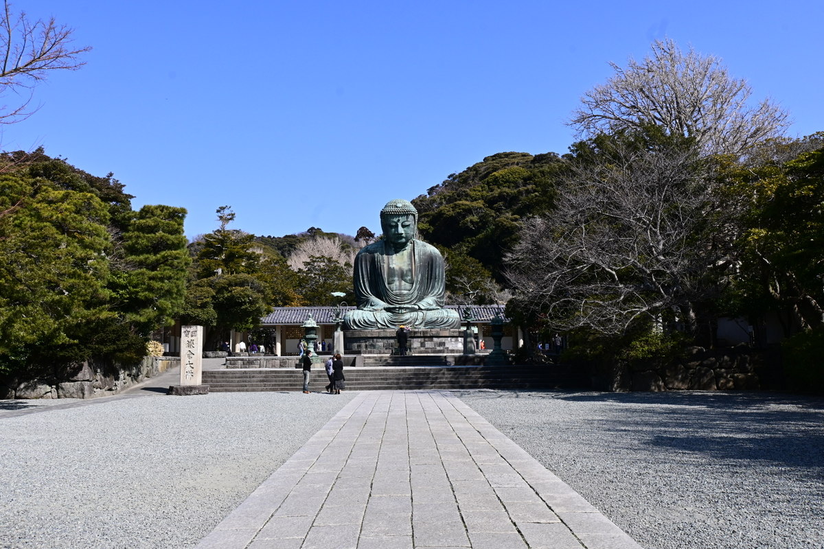 高徳院：大仏遠景