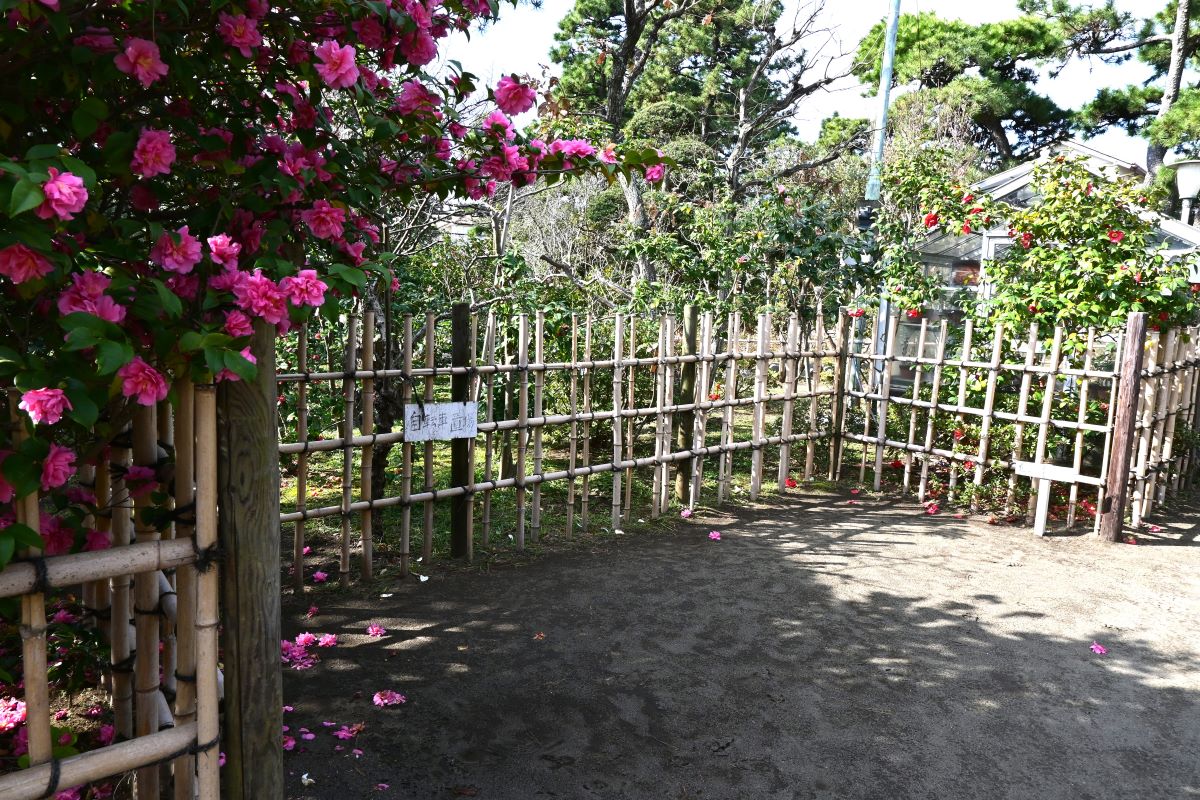 氷室椿庭園：自転車置き場