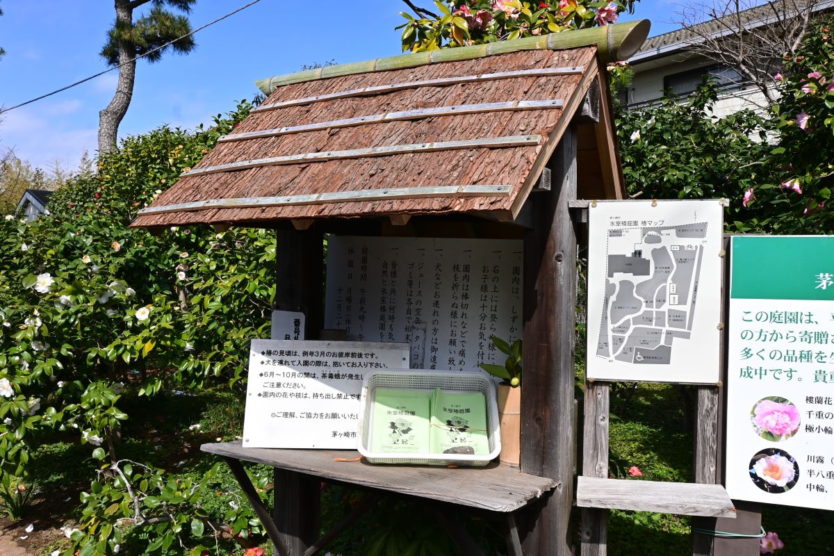 氷室椿庭園：チラシ置き場