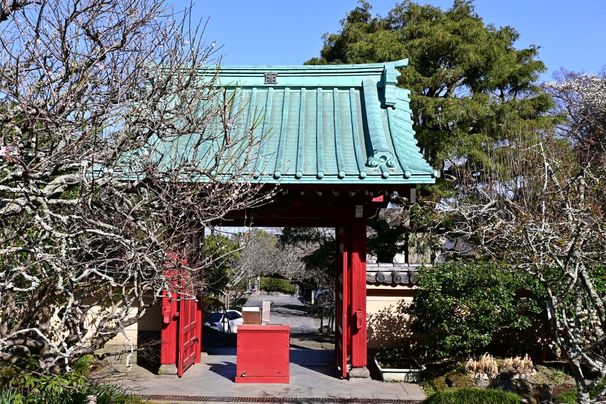 光則寺：境内から見た山門