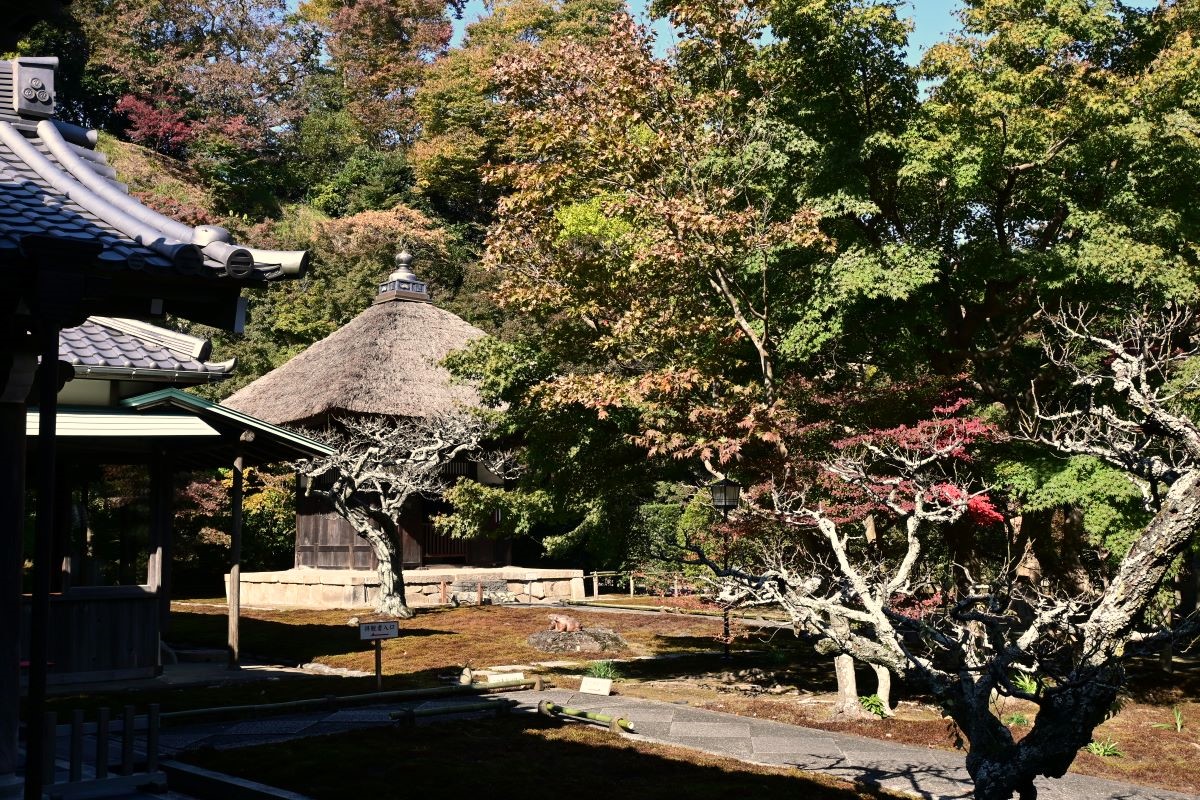 本堂から見た長壽寺庭園