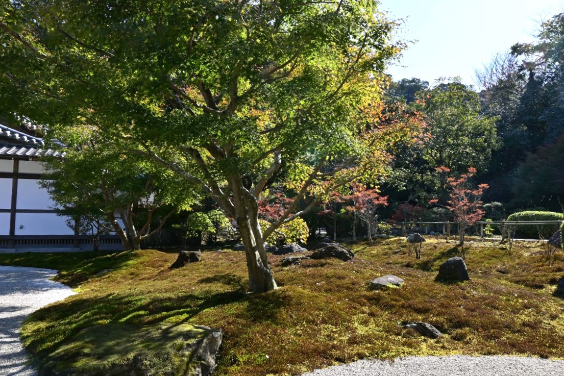 長壽寺庭園
