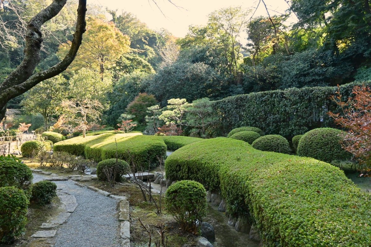 長壽寺のツツジ