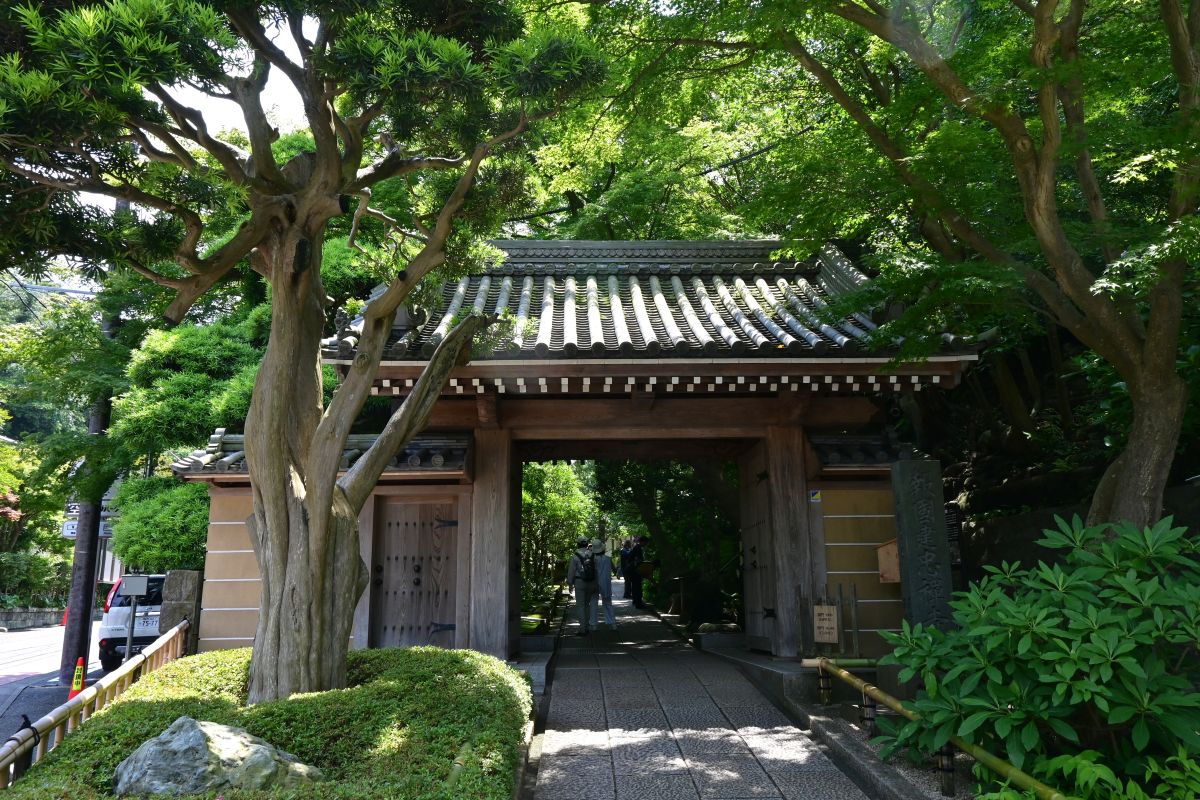 報国寺山門(2026年6月撮影)
