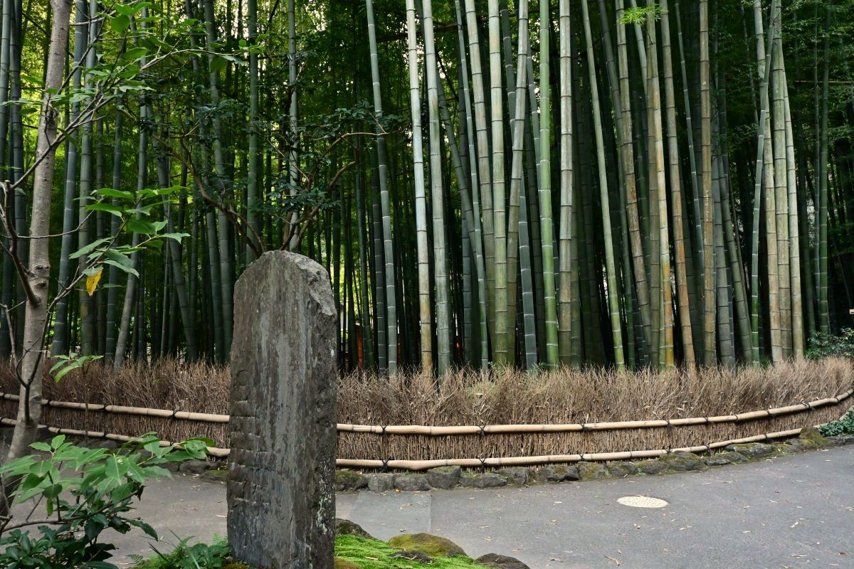木下利玄の碑と竹林