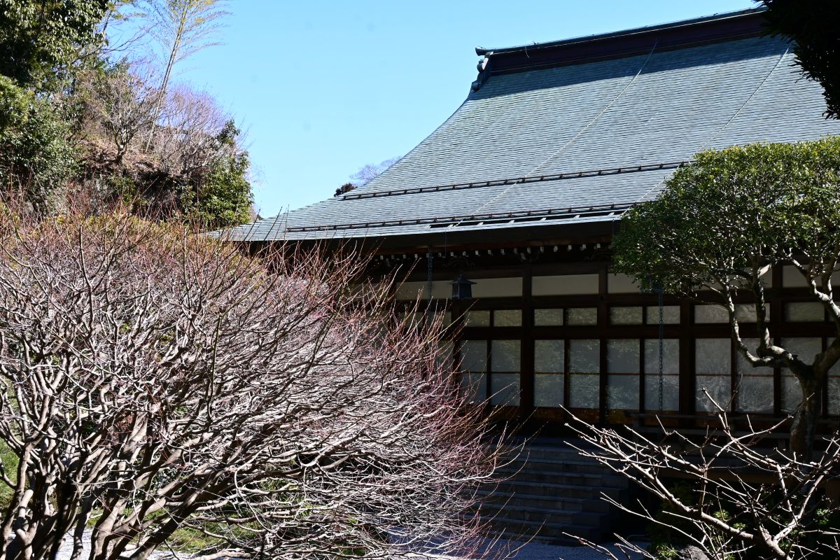 本堂を振り返る(2025年2月撮影)