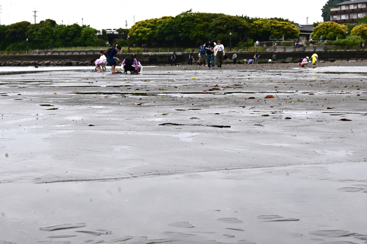 江の島　トンボロ