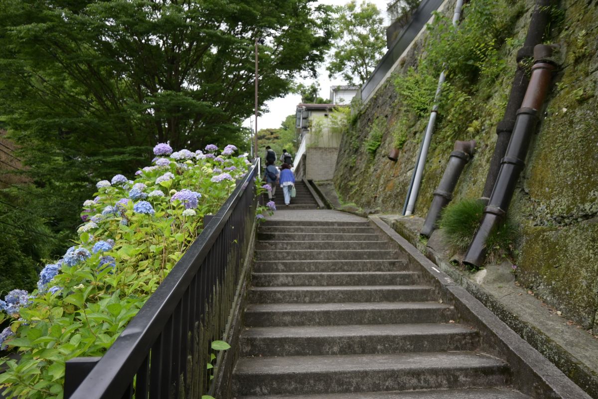 成就院参道入り口付近