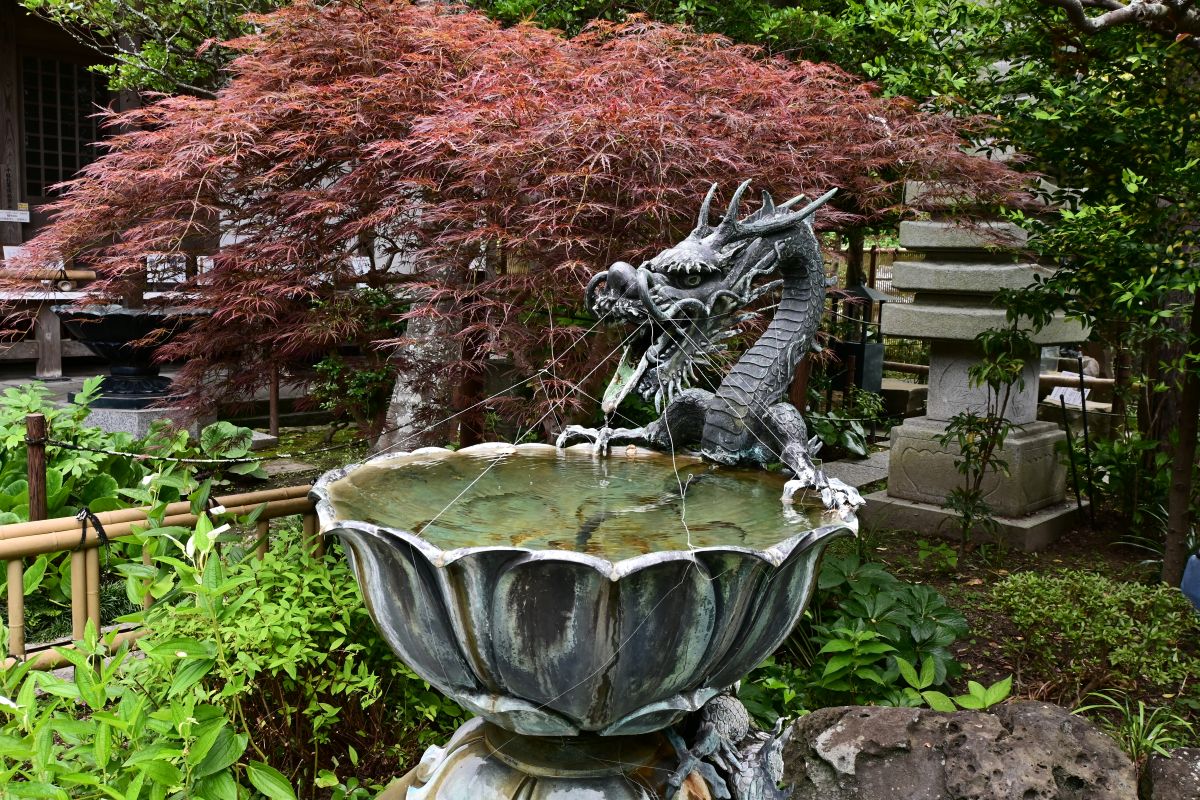竜の水鉢