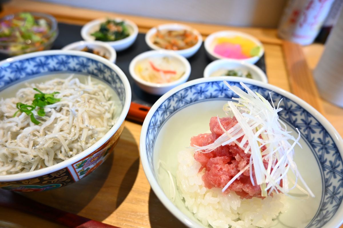 三色御膳 シラスとマグロ中落