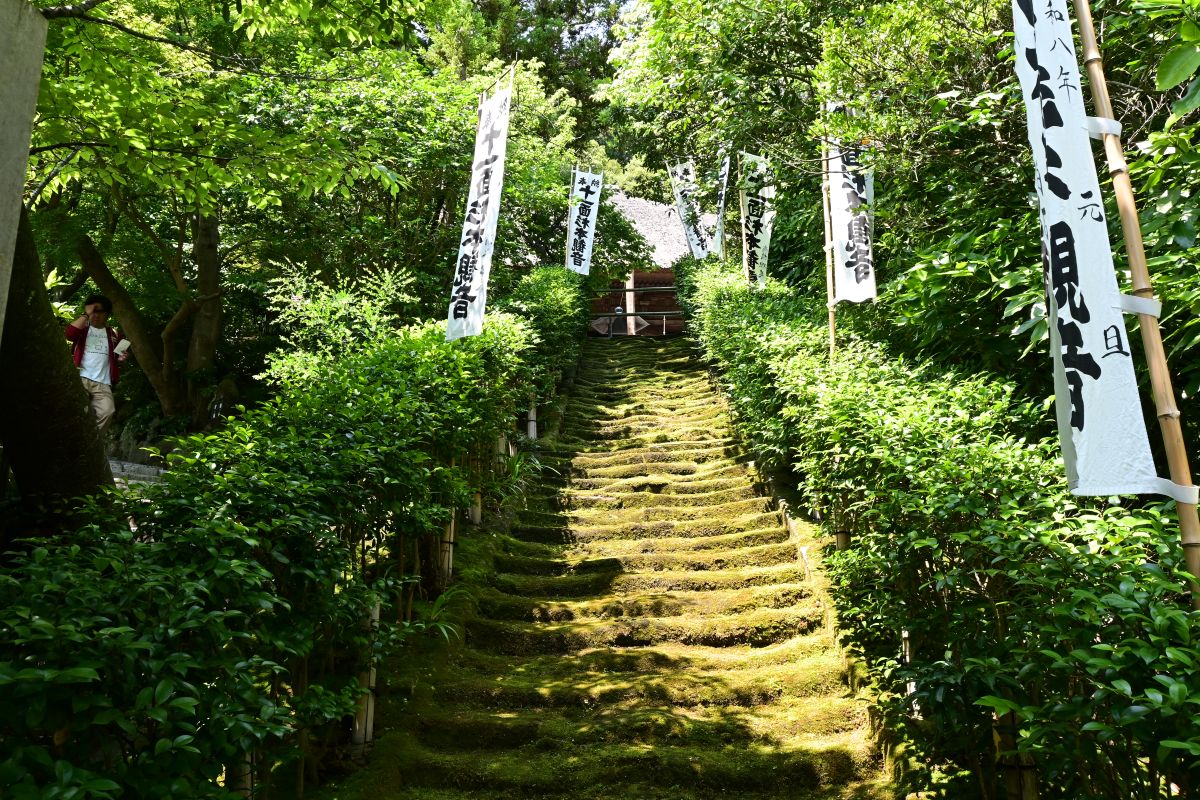 杉本寺:苔むした石段