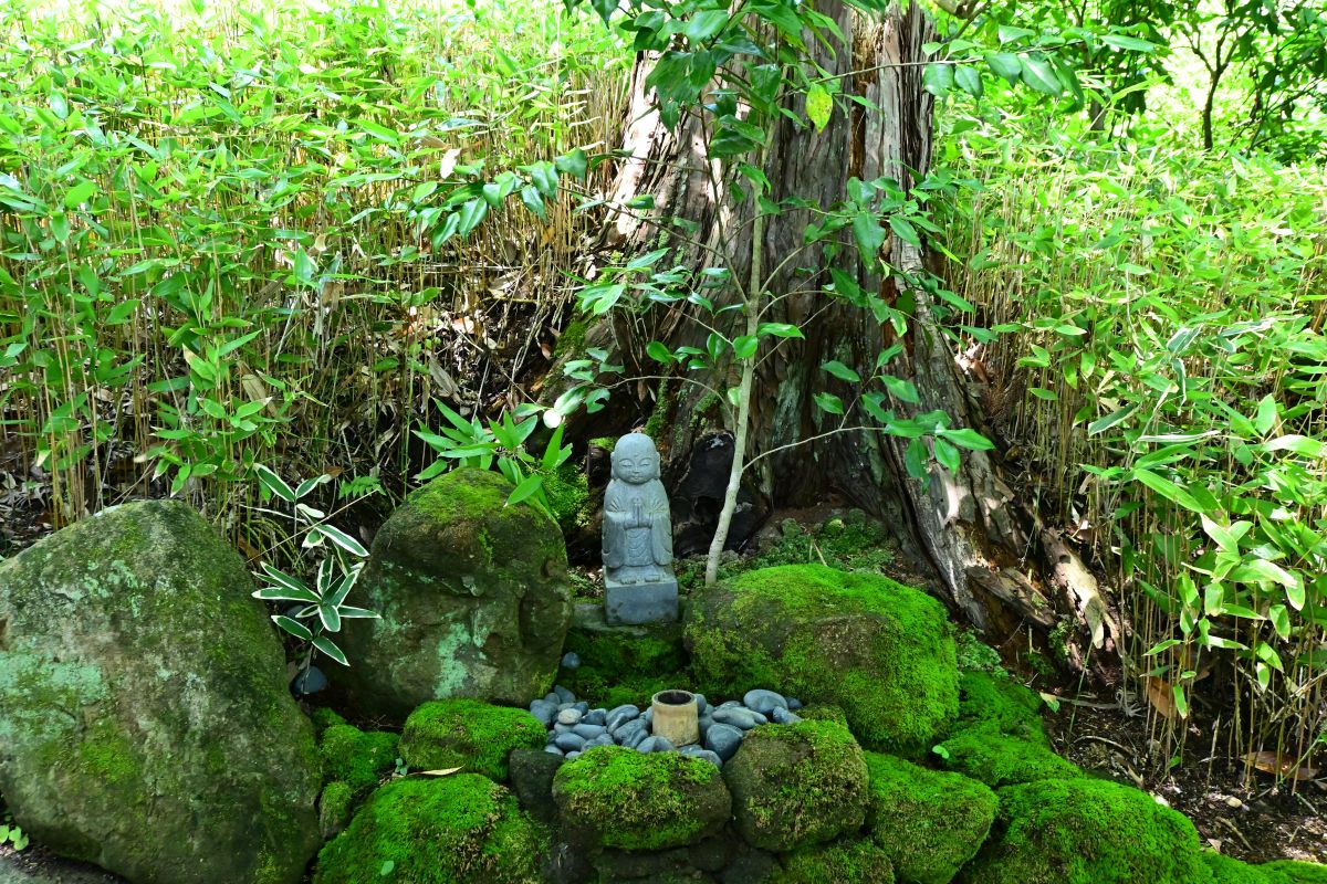 杉本寺:小さなお地蔵様