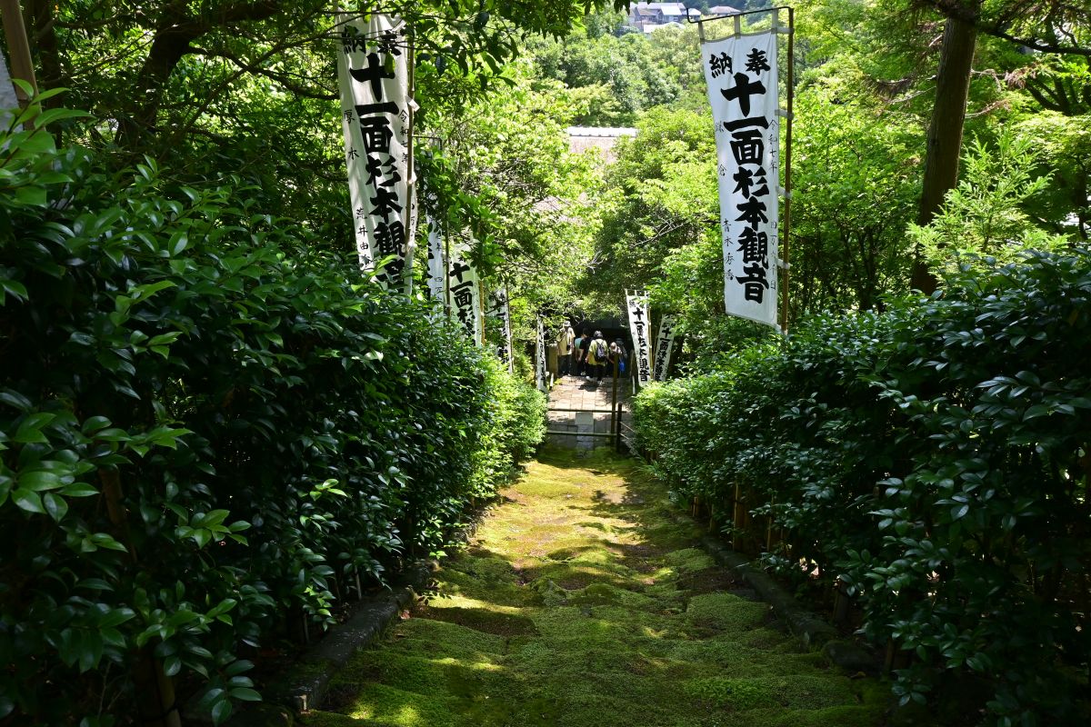 杉本寺:苔むした石段を上から見る