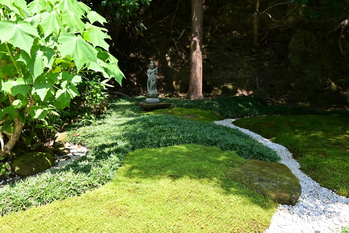 杉本寺:苔庭