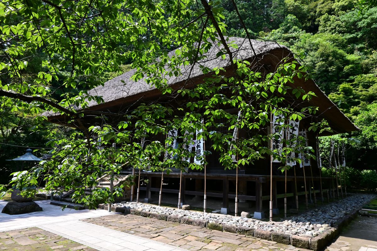 杉本寺:本堂
